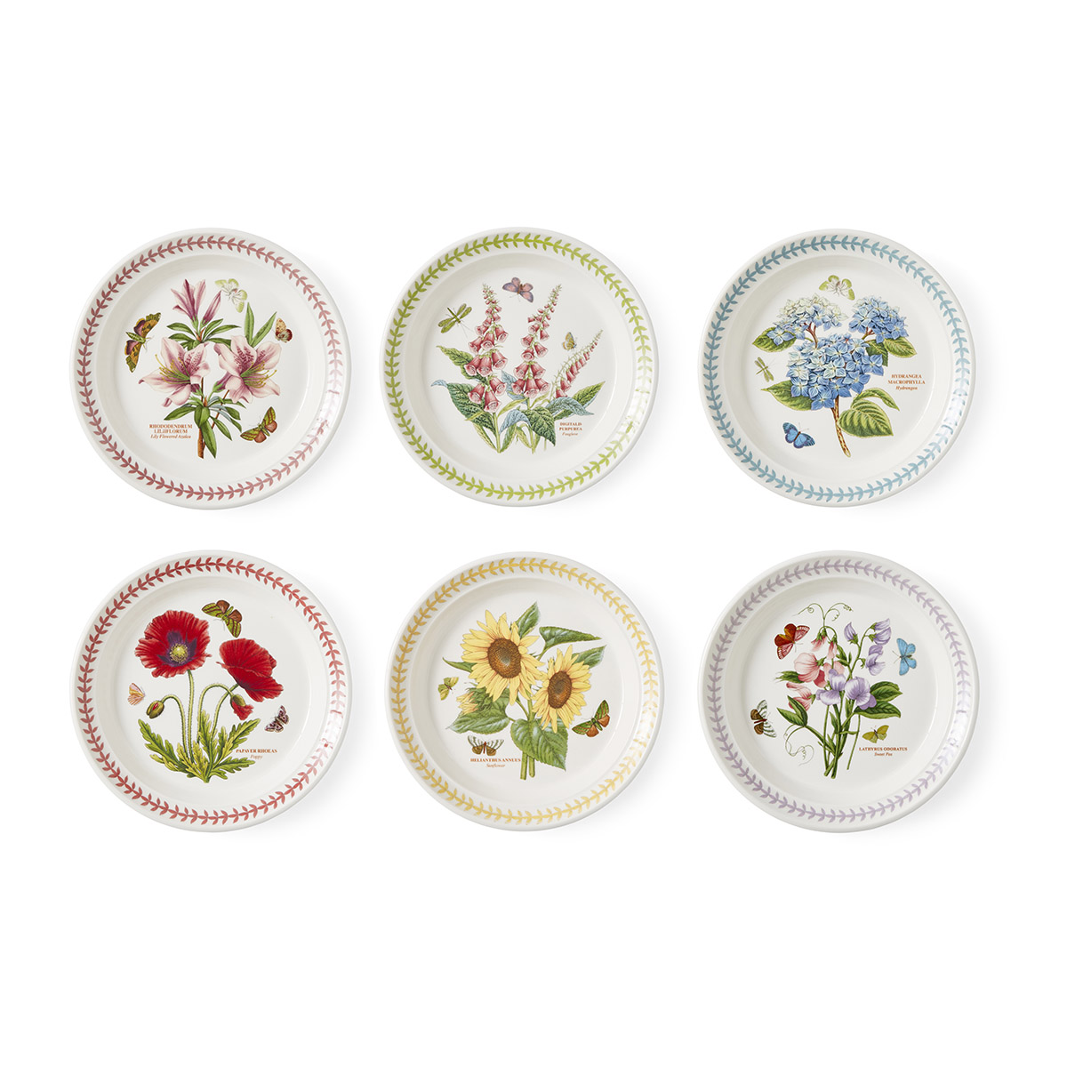 Botanic Garden Meadow Bread Plate Set of 6 image number null